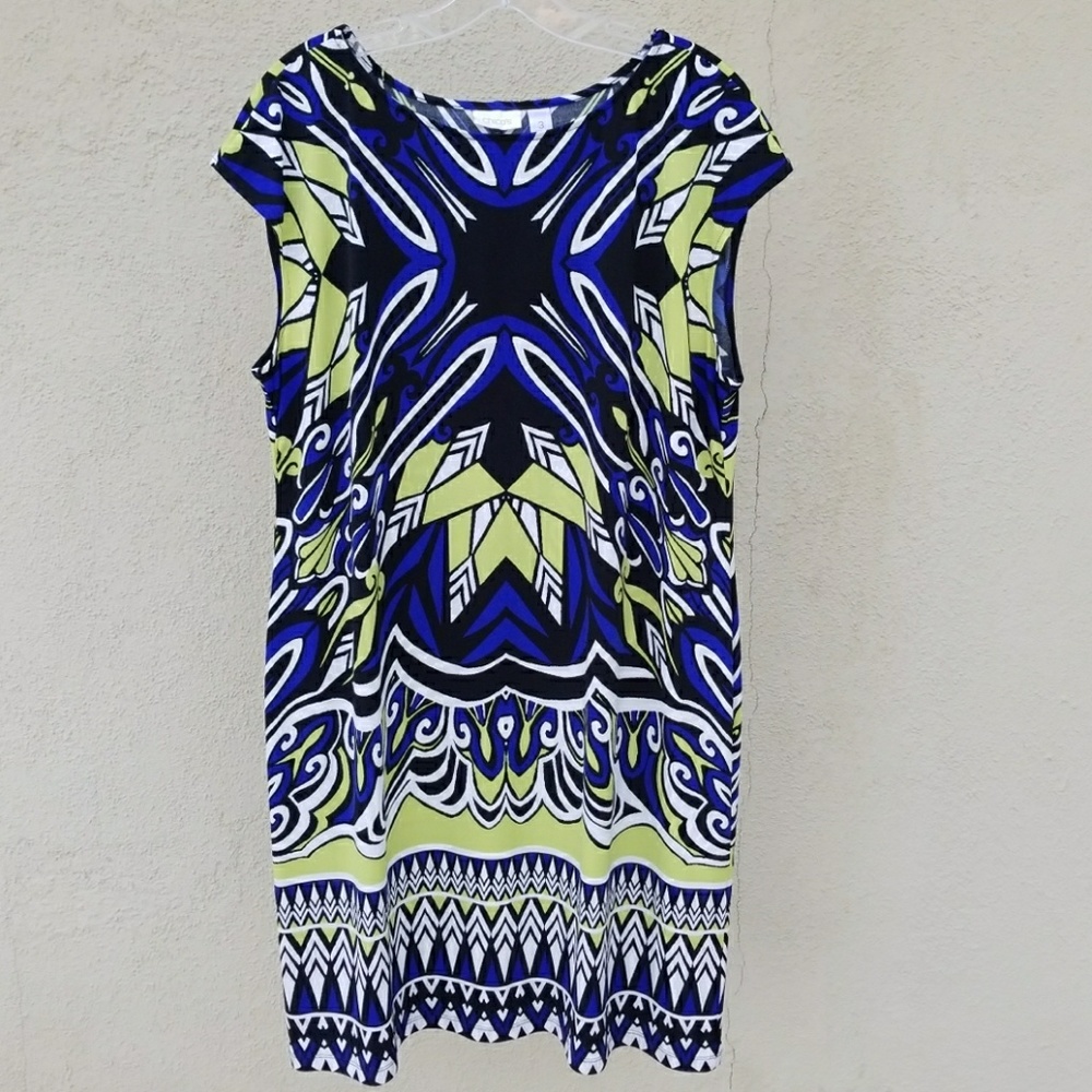 Chicos Size 3 dress